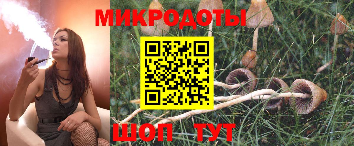 Псилоцибиновые грибы прущие грибы Тамбов